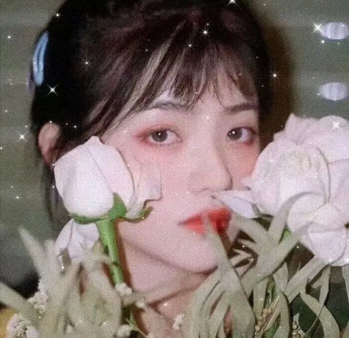 杀手·蝴蝶·梦